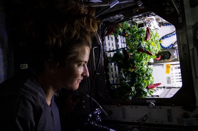 NASA image: iss066e084293