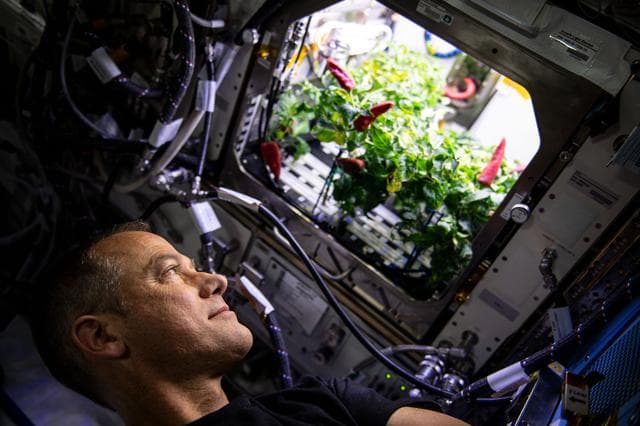 NASA image: iss066e084306