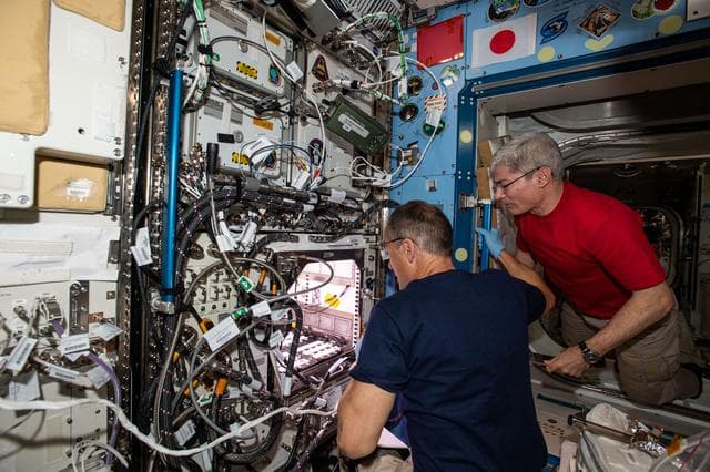 NASA image: iss066e084502