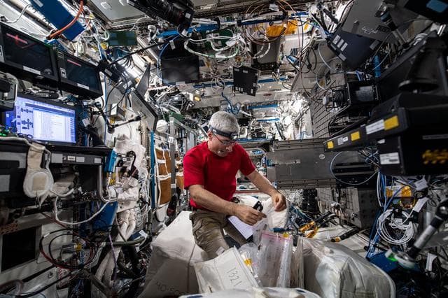 NASA image: Mark Flow Boiling and Condition Experiment Setup
