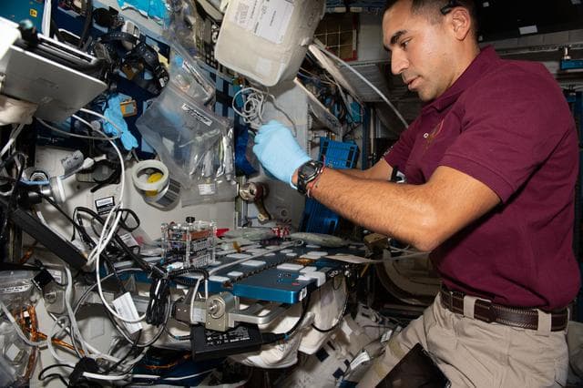 NASA image: iss066e102637