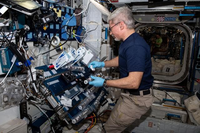 NASA image: iss066e108292