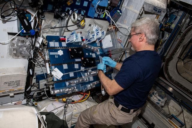 NASA image: iss066e108295