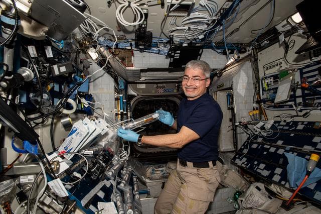NASA image: iss066e108552