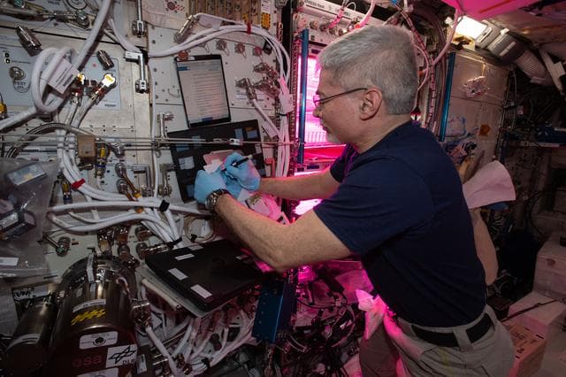 NASA image: iss066e110211