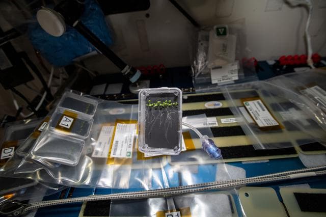 NASA image: iss066e110890
