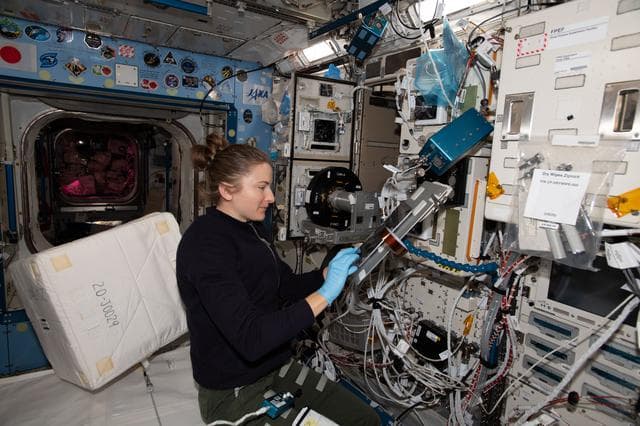 NASA image: iss066e133963