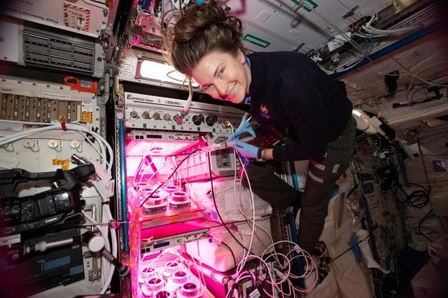NASA image: iss066e136343