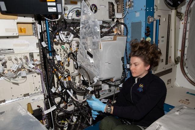 NASA image: iss066e137017