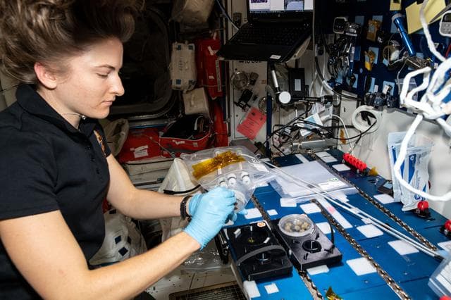 NASA image: iss066e139750