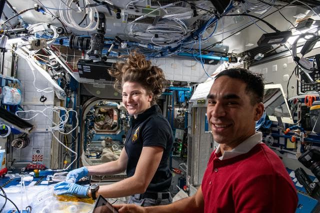 NASA image: iss066e140558
