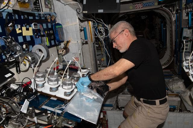 NASA image: iss066e147338