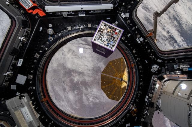 NASA image: iss066e152074