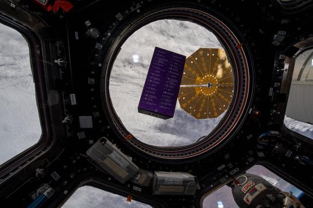 NASA image: iss066e152088