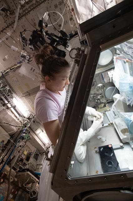 NASA image: iss066e153063