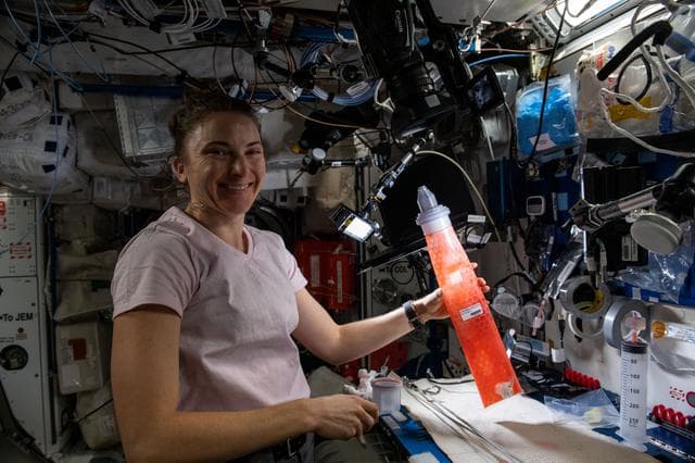 NASA image: iss066e155768