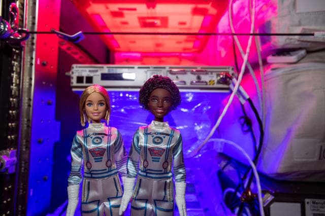 NASA image: Dreamstar - Digital Photo and Record Educational Video with Dolls in Front of Astrobee and MELFI