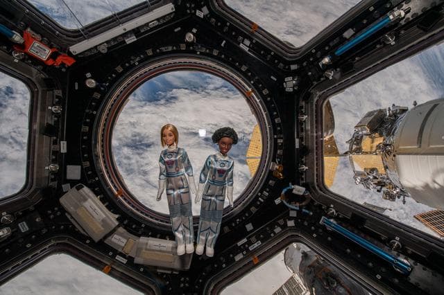 NASA image: Dreamstar - Digital Photo and Record Educational Video with Dolls in Front of Cupola Module Window