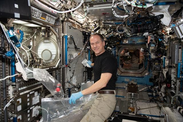 NASA image: iss066e156074