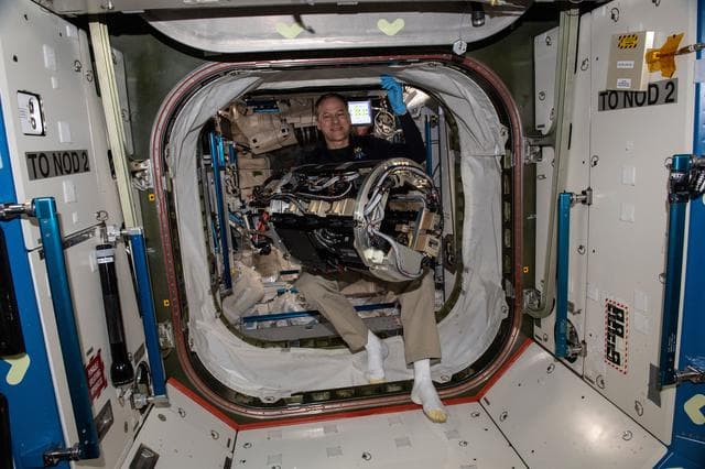 NASA image: iss066e161281