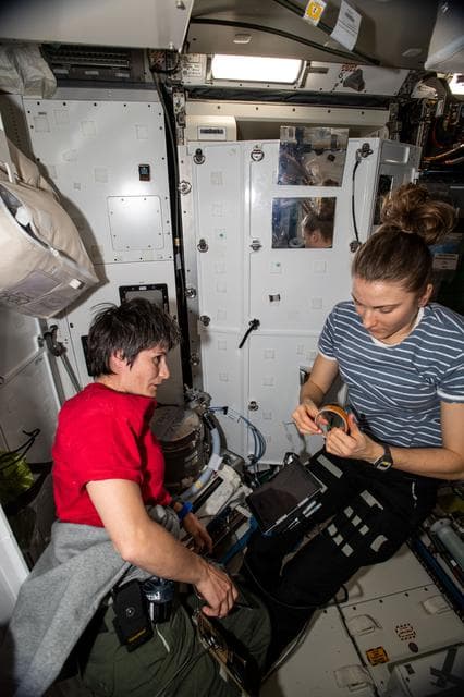 NASA image: iss067e032380