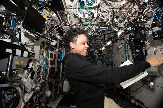 NASA image: iss067e033341