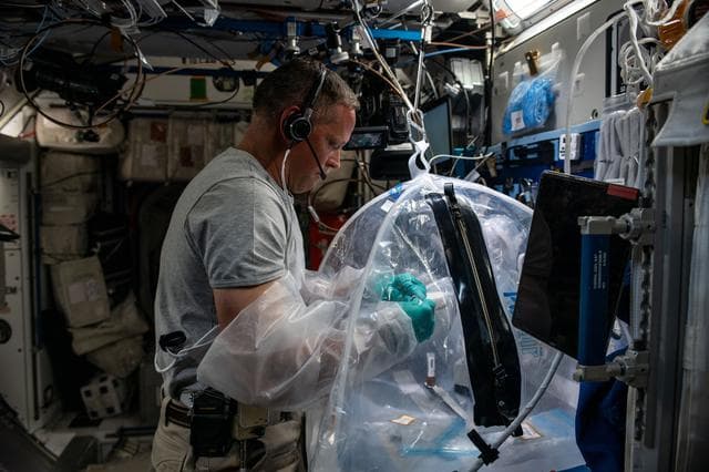 NASA image: iss067e034722