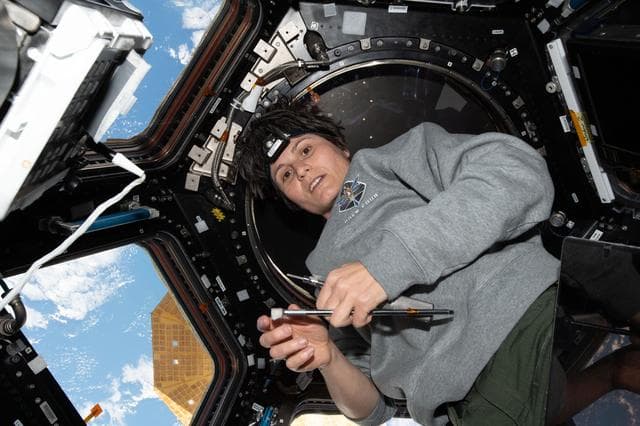 NASA image: iss067e043338