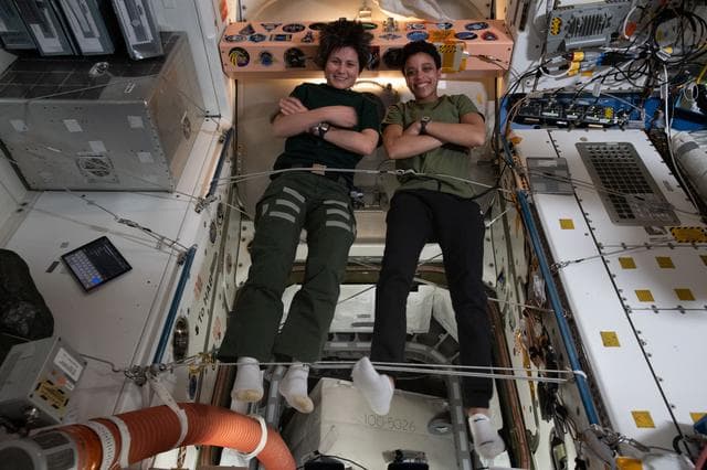 NASA image: iss067e043385