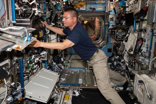 NASA image: iss067e044198