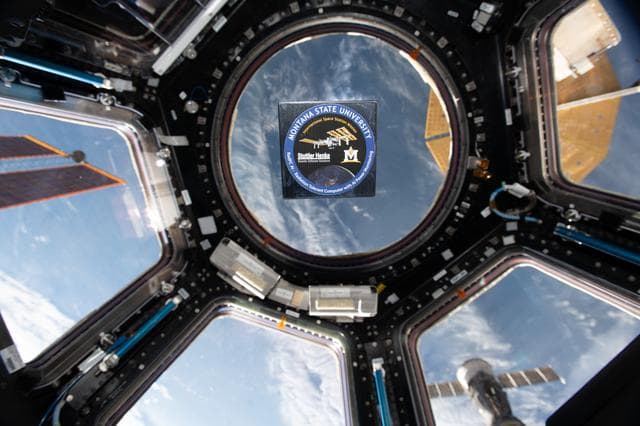 NASA image: iss067e066374