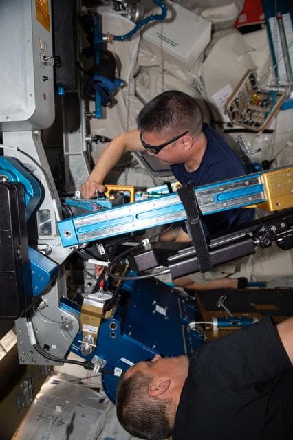 NASA image: iss067e120164