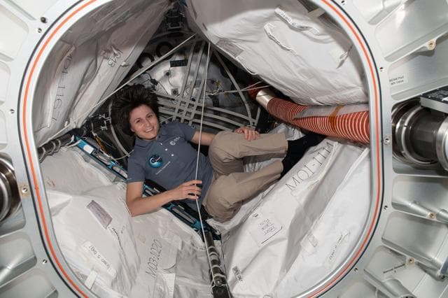 NASA image: iss067e123266