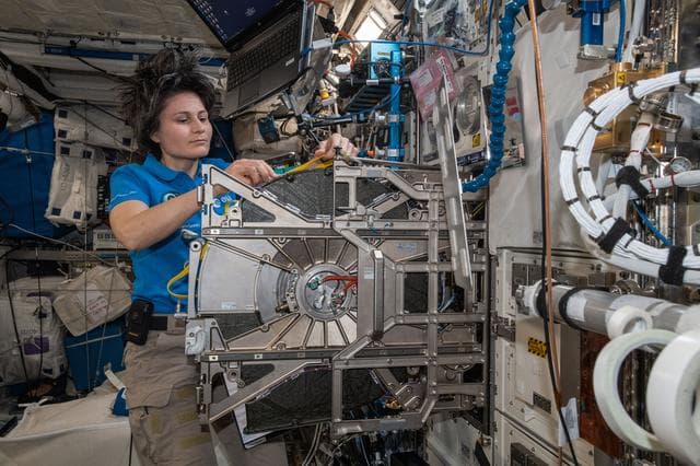 NASA image: iss067e148954