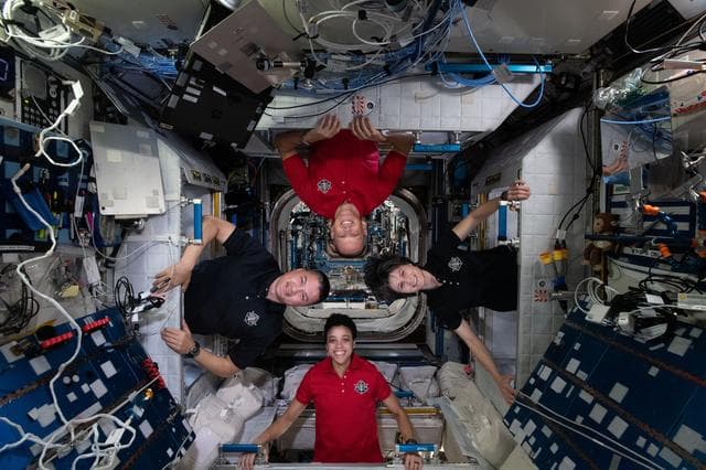 NASA image: iss067e170650