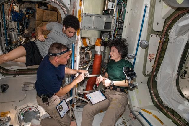 NASA image: iss067e176560
