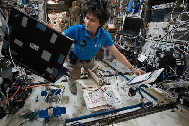 NASA image: iss067e183618_alt