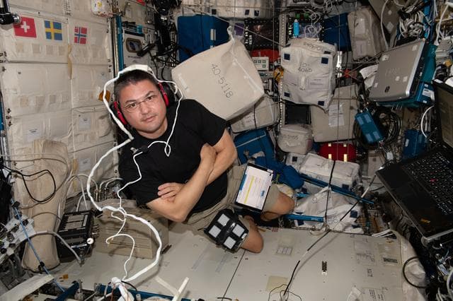 NASA image: iss067e183800