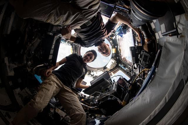 NASA image: iss067e189394