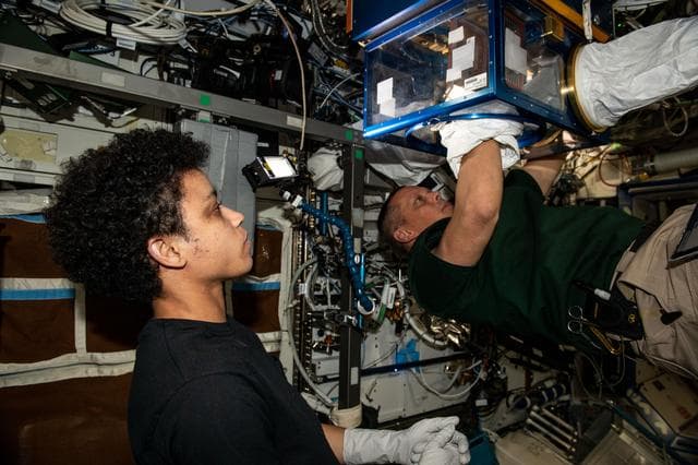 NASA image: iss067e189949