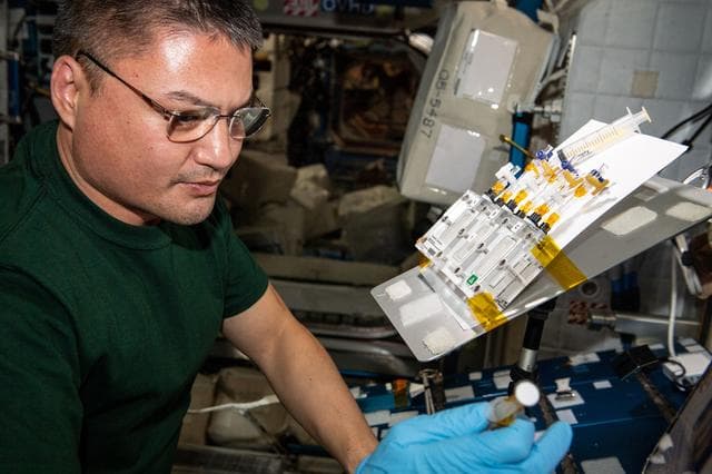 NASA image: iss067e189981