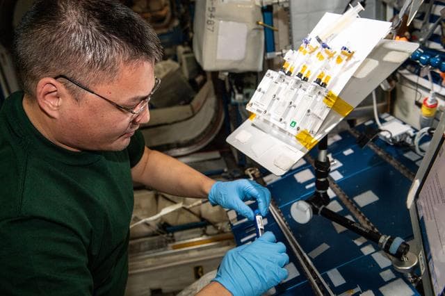 NASA image: iss067e189982