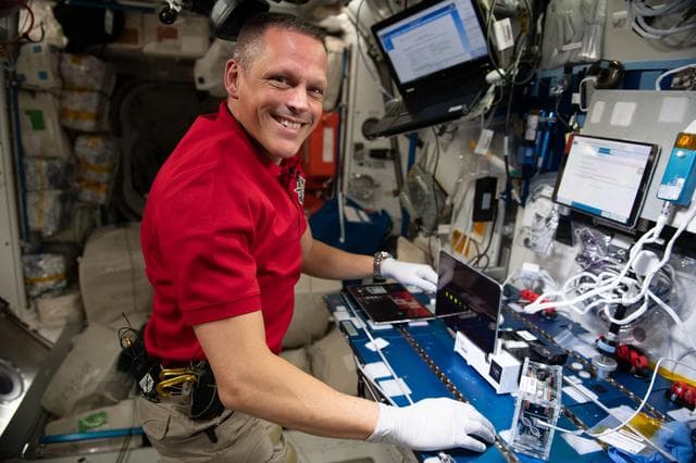 NASA image: iss067e190796