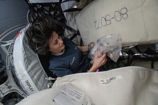 NASA image: iss067e266382