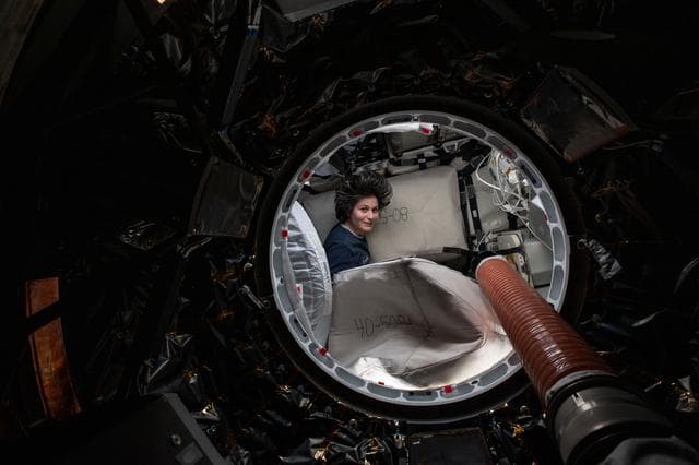 NASA image: iss067e266386