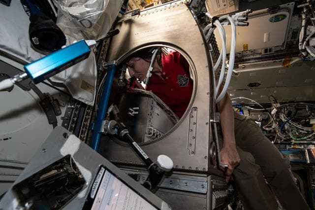 NASA image: iss067e378312