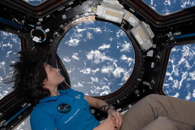 NASA image: iss068e006170