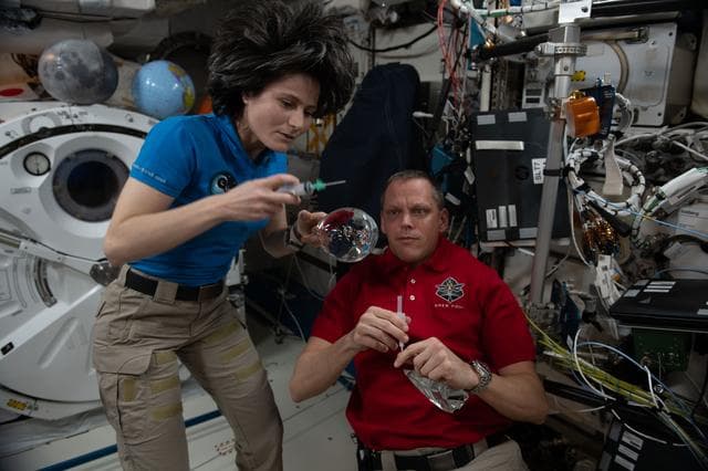NASA image: iss068e006399