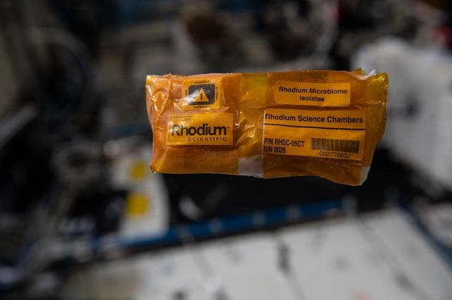 NASA image: Rhodium Microbiome Isolates SABL Insert