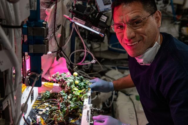 NASA image: eXposed Root On-Orbit Test System (XROOTS)